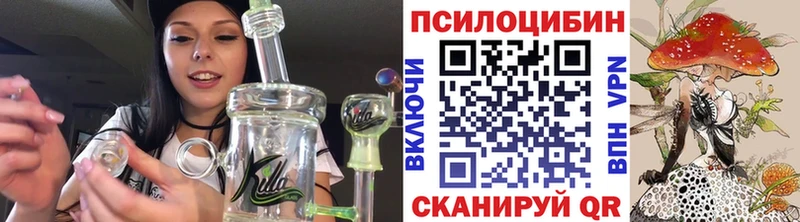 Псилоцибиновые грибы Psilocybe Красный Холм