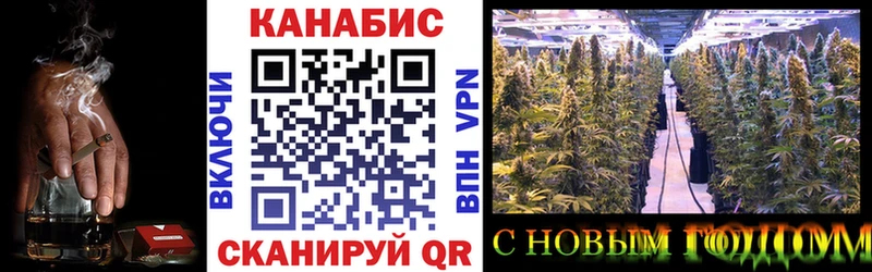 Шишки марихуана LSD WEED  наркотики  Красный Холм 